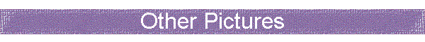Other Pictures
